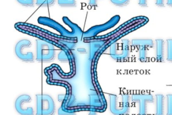 Kraken ссылка tor официальный сайт