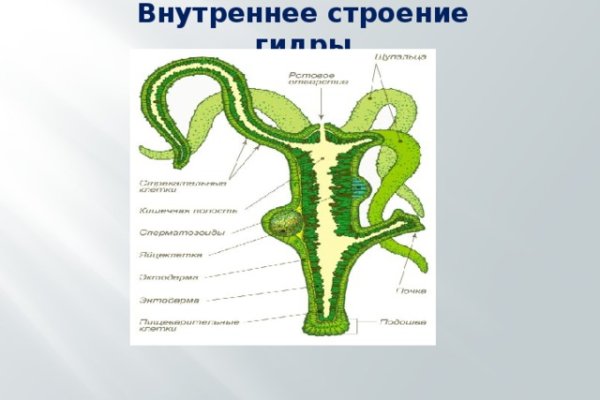 Кракен площадка нарко