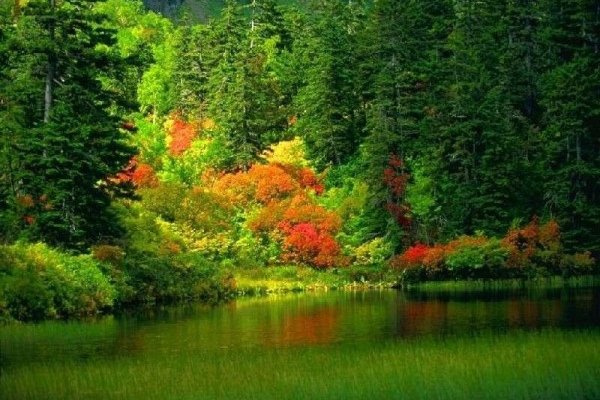 Кракен порошок