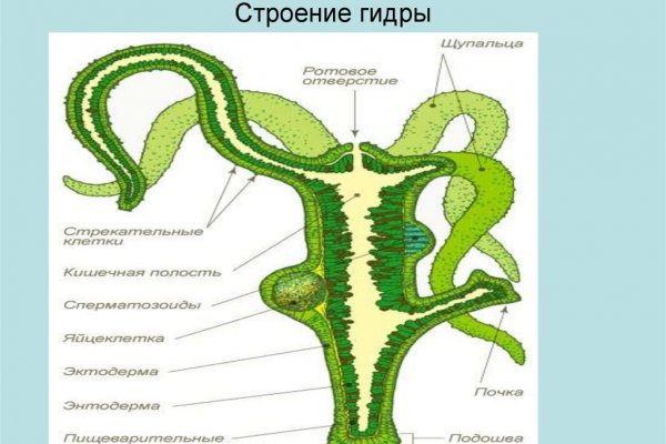Кракен ссылка vtor