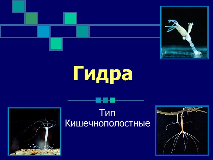 Нарко магазин кракен