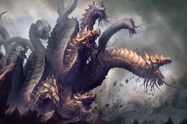 Что за приложение кракен